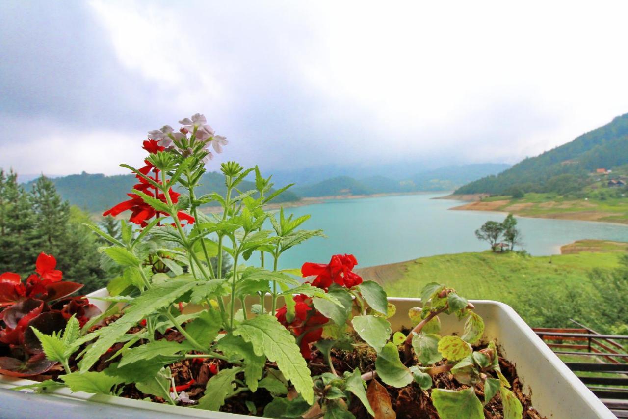 Tara lake apartments Jevtici Bagian luar foto