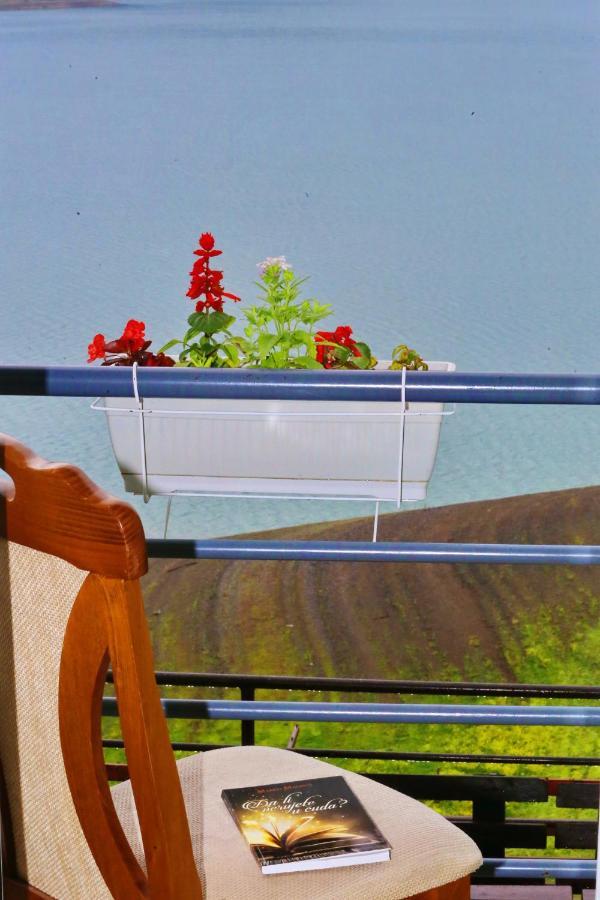 Tara lake apartments Jevtici Bagian luar foto